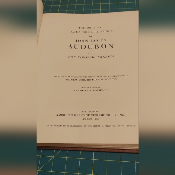 Double Crested Cormorant, Plate 166 - Picture 3 of 4